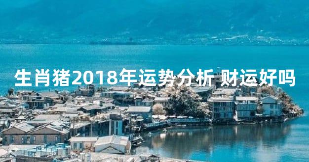 生肖猪2018年运势分析 财运好吗